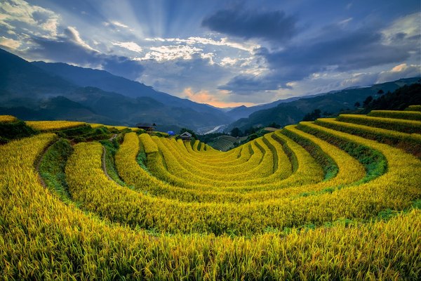 新加坡硕士留学申请条件全解析，申请前必须知道的核心要求与真实标准