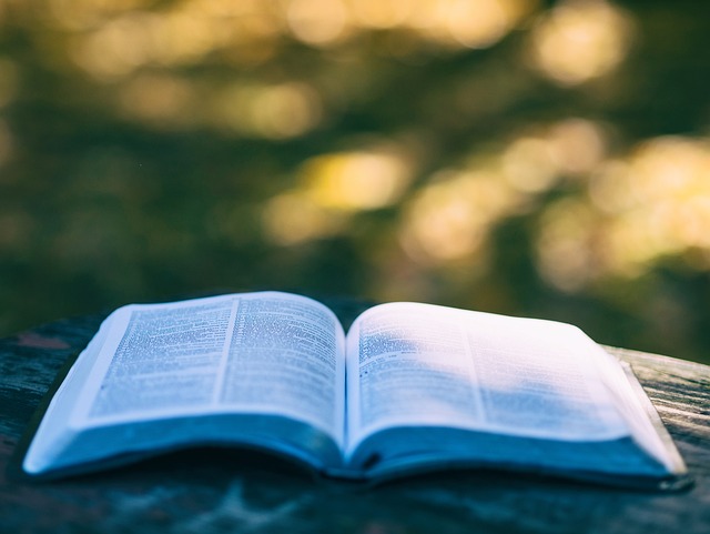 新加坡留学私与公立大学申请条件对比！