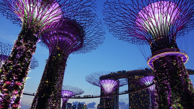 新加坡本科留学相较于国内怎么样？