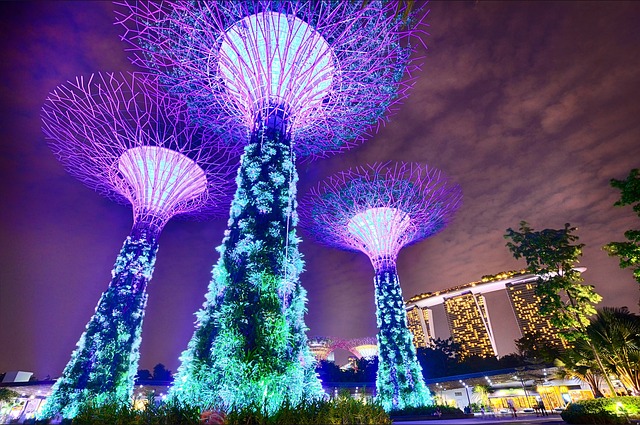 新加坡留学游玩滨海花园攻略